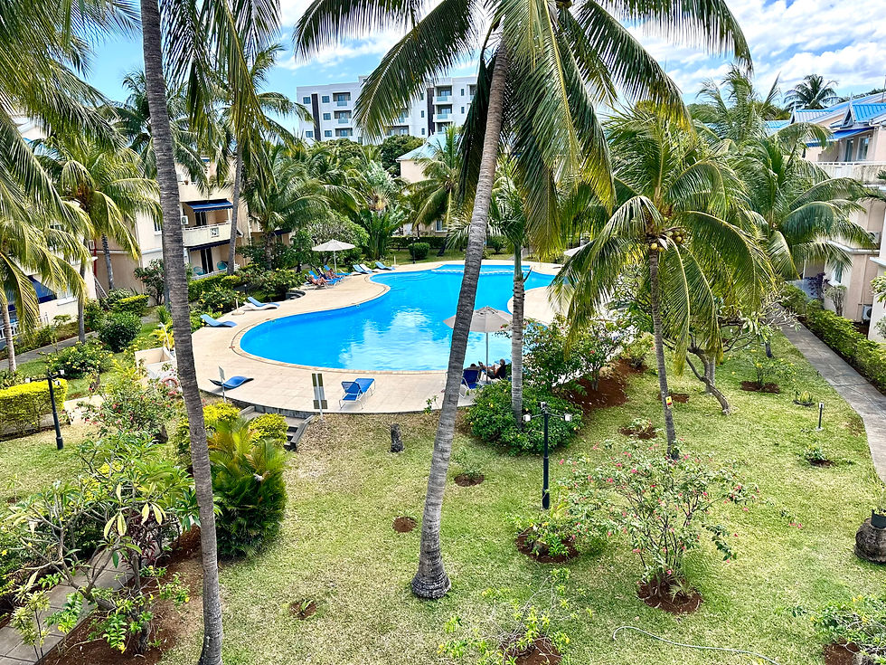 Vue depuis la terrasse