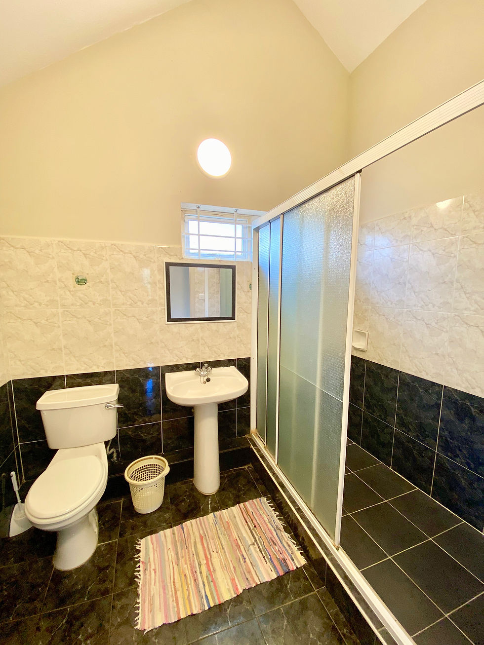 Salle de bain : douche, lavabo et WC