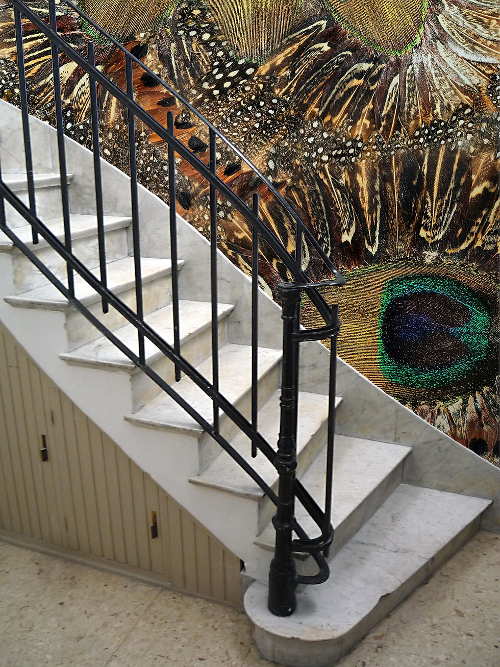 Thumbnail: Frequent Flyer