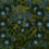 Thumbnail: Floral Eclipse