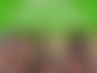 VIAJES DIVERTIDOS EN EL SUR DE CALIFORNIA