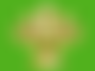 AND THE AWARD GOES TO…