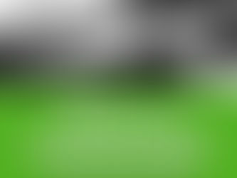 EVITAR EL ROBO DE SU CONVERTIDOR CATALÍTICO