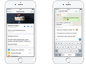 WhatsApp Business YA disponible para iPhone