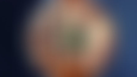 麻婆豆腐 Mapo Tofu