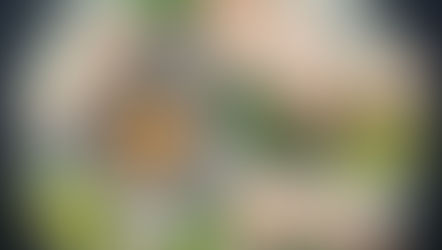 越南生春捲 Vietnamese Summer Rolls