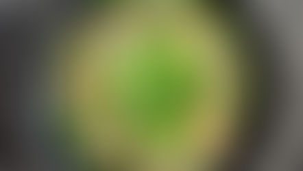 蔥雞湯麵 Chicken and Green Onion Noodle Soup