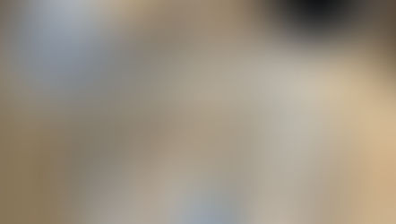 松露起司烤餅 Truffle and Mozzarella Tortillas