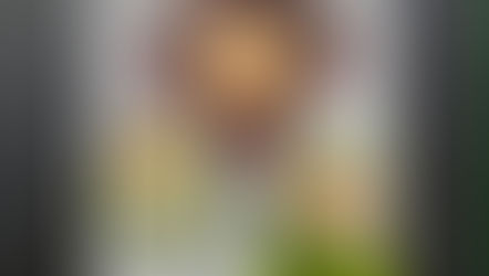 越南生春捲- 蘋果雞胸肉 Vietnamese Summer Rolls- Chicken breast and apple