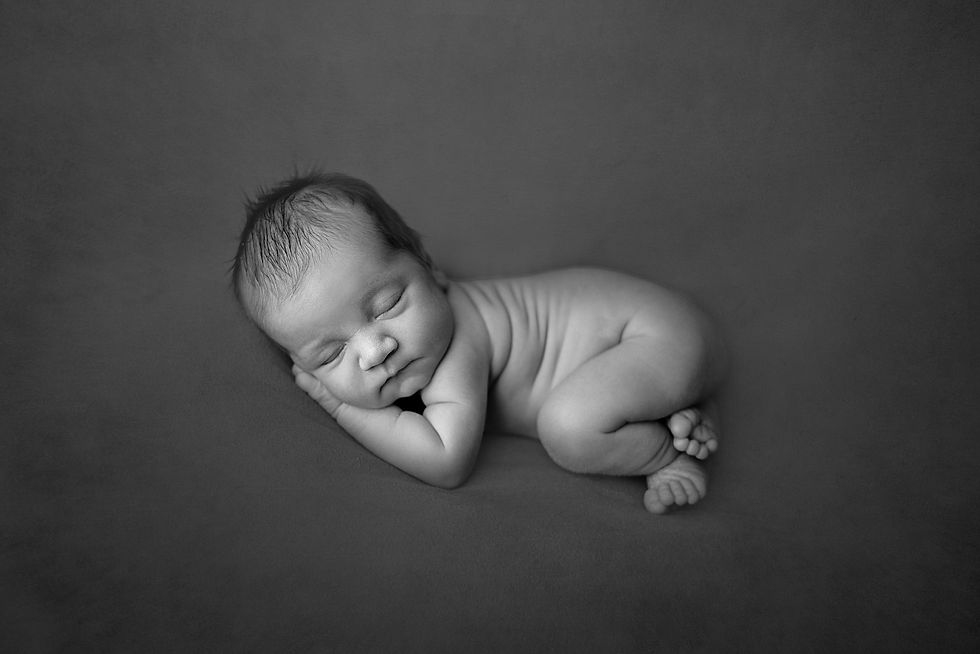 Newborn photography Billings Montana by Whispering Hollow Portraits