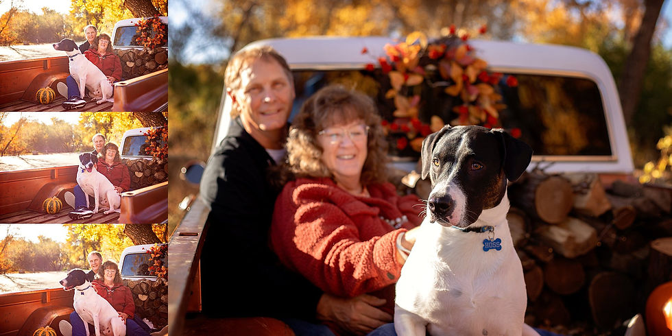Fall Truck Sessions by Tiffany Edwards, Newborn & Children's Photographer at Riverfront Park in Billings Montana featuring a couple and their dog seated in the back of a 1970 chevy pickup truck.
