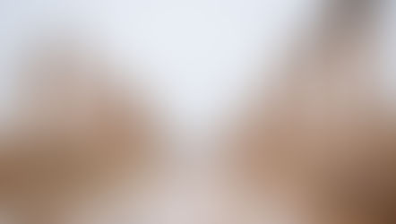 A complete guide to visiting the ruined city of Jerash | A perfect day trip from Amman