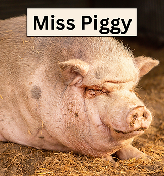 Miss Piggy.png
