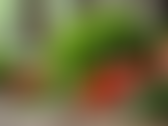 Starting Your Colon Health Program for Wellness