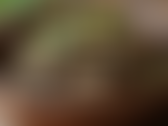 Top Herbal Cleansing Methods for a Healthier Life