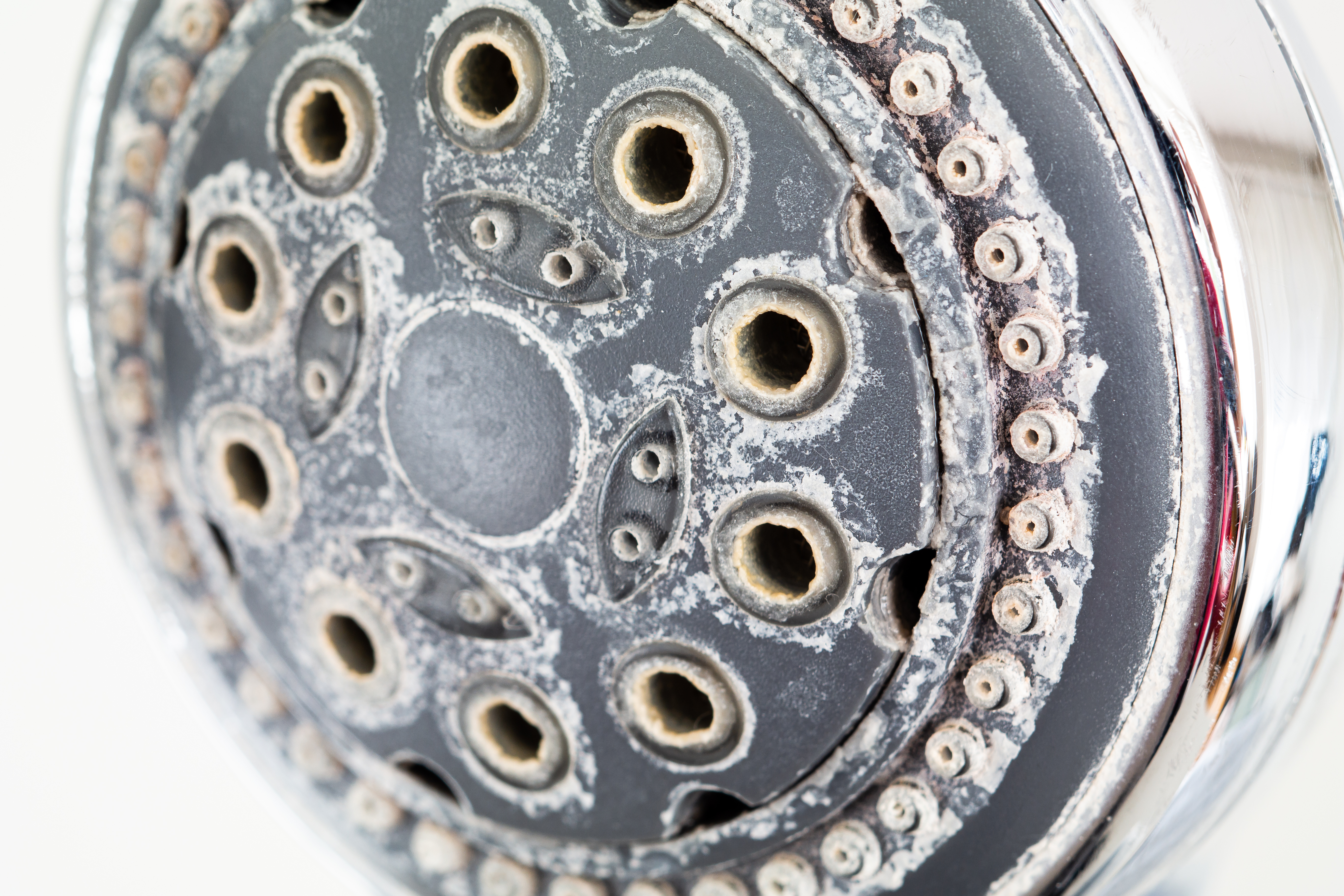 Photograph of what hard water mineral buildup looks like with solid rock and salt-like hardened areas along a closeup of a shower head. The background behind is white.