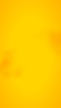 FONDO-AMARILLO-CAMPS.jpg