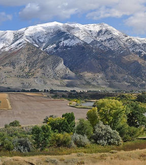 tremonton box elder.jpg