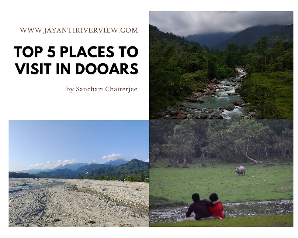 TOP 5 PLACES TO VISIT IN DOOARS