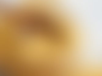 Foxtail Millet vs Kodo Millet: Which Super Grain Is Better for Your Health?