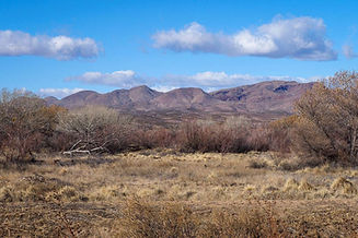 New Mexico.jpeg