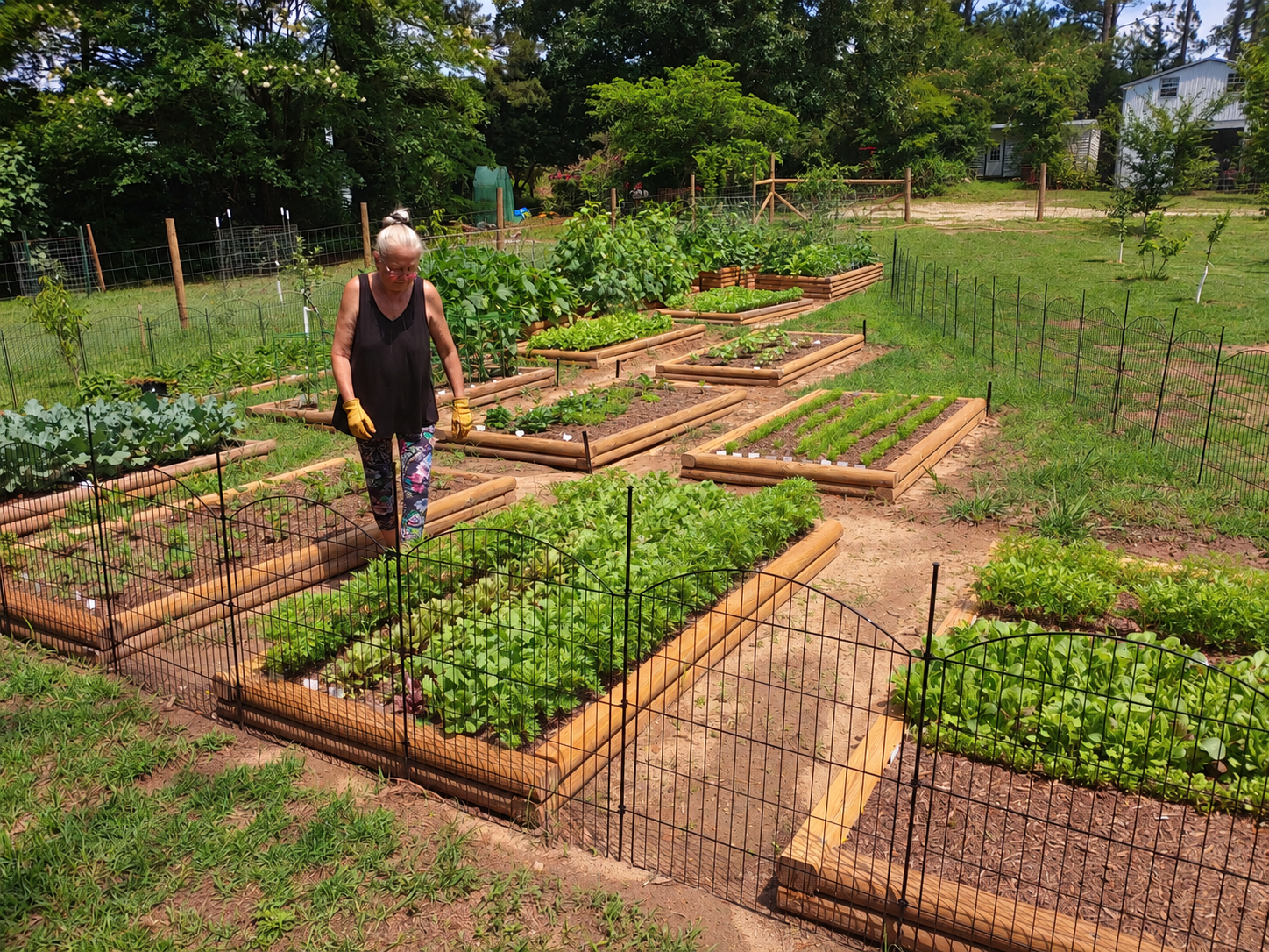 Michele with raised bed garden