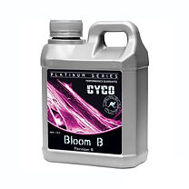 cyco-bloom-b-1l-110116-B (1).jpg
