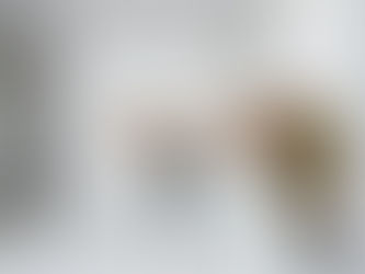 10 Stunning Modular Kitchen Designs in Hyderabad