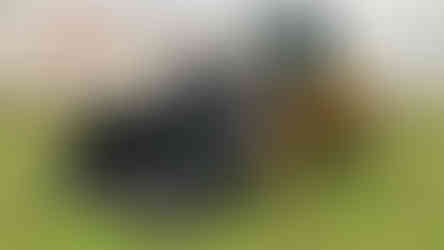 #AttachmentsExperts Sales Department I Mazio Attachments LLC headquarters: +1 561 766 0899 w: www.mazio.us e:sales@mazio.us a: Port St Lucie, FL 34952, USA Ventas I Mazio Colombia SAS Teléfonos: 318 458 9736 w: www.mazio.co e: colombia@mazio.it a: Carrera 20 #18-28 LC 17, Retiro, Antioquia. WhatsApp 3184589736 #frontloadercoalbucket #coalbucket #baldecarbonero #baldeparacarbon #baldecargadorcarbon #baldecargadorfrontalcarbon #heavyequipment #maquinariapesada #maquinariamarilla #wheelloader #frontloader #cargadorfrontal #wheelloaderbucket #mining #quarry #miningbucket #loaderbucket #bucketloader Skid steer attachments Asphalt mini Paver Pick Up Broom Grinder Screening Concrete Grader Backhoe Snowblower rock breaker hydraulic backhoe pallet forks mulcher head auger steel tracks angled broom Dozer Grader Cold Planer cement mixer bucket excavator hydraulic rock breaker Hydraulic Hammer excavator VibroRipper Vibro Ripper Vibro-hammer excavator hardox bucket front loader hardox bucket long reach boom excavator front loader hydraulic quick coupler hitch piping forks Multifunctional Grabber Clamshell Bucket Rock Grapple Orange Peel Excavator Grapple Grabber Excavator Magnet. Somos Fabricantes de Martillos Hidraulicos, Barredoras, Baldes, Cucharones, Acoples, Horquillas Portapallet, Rápidos, Grapa Forestal, Demoledor, Cribadora, Trituradora, Rodillo Compactador, Brazo Excavador, Fresadora Asfalto, Pavimentadora, Cizalla, Pulpo para Chatarra, Demolicion, Excavación, Excavadora, Magneto, Garras, Brazos Largos, Desbrozador Forestal, Hoyador, Mezclador de Concreto, Niveladora, Vibromartillo, Vibroripper, Pulverizador, Baldes, Desmalezador, Horquillas Porta pallet y mas.