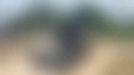 #AttachmentsExperts Sales Department I Mazio Attachments LLC headquarters: +1 561 766 0899 w: www.mazio.us e:sales@mazio.us a: Port St Lucie, FL 34952, USA Ventas I Mazio Colombia SAS Teléfonos: 318 458 9736 w: www.mazio.co e: colombia@mazio.it a: Carrera 20 #18-28 LC 17, Retiro, Antioquia. WhatsApp 3184589736 #pickupbroom #pickupsweeper #sslbroom #skidsteerbroom #ctlbroom #barredorabobcat #barredoraminicargador #barredoraretropala #barredoras #barredorarecolectora #bobcatbroom #catbroom Skid steer attachments Asphalt mini Paver Pick Up Broom Grinder Screening Concrete Grader Backhoe Snowblower rock breaker hydraulic backhoe pallet forks mulcher head auger steel tracks angled broom Dozer Grader Cold Planer cement mixer bucket excavator hydraulic rock breaker Hydraulic Hammer excavator VibroRipper Vibro Ripper Vibro-hammer excavator hardox bucket front loader hardox bucket long reach boom excavator front loader hydraulic quick coupler hitch piping forks Multifunctional Grabber Clamshell Bucket Rock Grapple Orange Peel Excavator Grapple Grabber Excavator Magnet. Somos Fabricantes de Martillos Hidraulicos, Barredoras, Baldes, Cucharones, Acoples, Horquillas Portapallet, Rápidos, Grapa Forestal, Demoledor, Cribadora, Trituradora, Rodillo Compactador, Brazo Excavador, Fresadora Asfalto, Pavimentadora, Cizalla, Pulpo para Chatarra, Demolicion, Excavación, Excavadora, Magneto, Garras, Brazos Largos, Desbrozador Forestal, Hoyador, Mezclador de Concreto, Niveladora, Vibromartillo, Vibroripper, Pulverizador, Baldes, Desmalezador, Horquillas Porta pallet y mas.