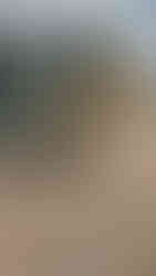 #AttachmentsExperts Sales Department I Mazio Attachments LLC headquarters: +1 561 766 0899 w: www.mazio.us e:sales@mazio.us a: Port St Lucie, FL 34952, USA Ventas I Mazio Colombia SAS Teléfonos: 318 458 9736 w: www.mazio.co e: colombia@mazio.it a: Carrera 20 #18-28 LC 17, Retiro, Antioquia. WhatsApp 3184589736 #pickupbroom #pickupsweeper #sslbroom #skidsteerbroom #ctlbroom #barredorabobcat #barredoraminicargador #barredoraretropala #barredoras #barredorarecolectora #bobcatbroom #catbroom Skid steer attachments Asphalt mini Paver Pick Up Broom Grinder Screening Concrete Grader Backhoe Snowblower rock breaker hydraulic backhoe pallet forks mulcher head auger steel tracks angled broom Dozer Grader Cold Planer cement mixer bucket excavator hydraulic rock breaker Hydraulic Hammer excavator VibroRipper Vibro Ripper Vibro-hammer excavator hardox bucket front loader hardox bucket long reach boom excavator front loader hydraulic quick coupler hitch piping forks Multifunctional Grabber Clamshell Bucket Rock Grapple Orange Peel Excavator Grapple Grabber Excavator Magnet. Somos Fabricantes de Martillos Hidraulicos, Barredoras, Baldes, Cucharones, Acoples, Horquillas Portapallet, Rápidos, Grapa Forestal, Demoledor, Cribadora, Trituradora, Rodillo Compactador, Brazo Excavador, Fresadora Asfalto, Pavimentadora, Cizalla, Pulpo para Chatarra, Demolicion, Excavación, Excavadora, Magneto, Garras, Brazos Largos, Desbrozador Forestal, Hoyador, Mezclador de Concreto, Niveladora, Vibromartillo, Vibroripper, Pulverizador, Baldes, Desmalezador, Horquillas Porta pallet y mas.