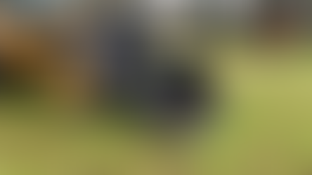 #AttachmentsExperts Sales Department I Mazio Attachments LLC headquarters: +1 561 766 0899 w: www.mazio.us e:sales@mazio.us a: Port St Lucie, FL 34952, USA Ventas I Mazio Colombia SAS Teléfonos: 318 458 9736 w: www.mazio.co e: colombia@mazio.it a: Carrera 20 #18-28 LC 17, Retiro, Antioquia. WhatsApp 3184589736 #frontloadercoalbucket #coalbucket #baldecarbonero #baldeparacarbon #baldecargadorcarbon #baldecargadorfrontalcarbon #heavyequipment #maquinariapesada #maquinariamarilla #wheelloader #frontloader #cargadorfrontal #wheelloaderbucket #mining #quarry #miningbucket #loaderbucket #bucketloader Skid steer attachments Asphalt mini Paver Pick Up Broom Grinder Screening Concrete Grader Backhoe Snowblower rock breaker hydraulic backhoe pallet forks mulcher head auger steel tracks angled broom Dozer Grader Cold Planer cement mixer bucket excavator hydraulic rock breaker Hydraulic Hammer excavator VibroRipper Vibro Ripper Vibro-hammer excavator hardox bucket front loader hardox bucket long reach boom excavator front loader hydraulic quick coupler hitch piping forks Multifunctional Grabber Clamshell Bucket Rock Grapple Orange Peel Excavator Grapple Grabber Excavator Magnet. Somos Fabricantes de Martillos Hidraulicos, Barredoras, Baldes, Cucharones, Acoples, Horquillas Portapallet, Rápidos, Grapa Forestal, Demoledor, Cribadora, Trituradora, Rodillo Compactador, Brazo Excavador, Fresadora Asfalto, Pavimentadora, Cizalla, Pulpo para Chatarra, Demolicion, Excavación, Excavadora, Magneto, Garras, Brazos Largos, Desbrozador Forestal, Hoyador, Mezclador de Concreto, Niveladora, Vibromartillo, Vibroripper, Pulverizador, Baldes, Desmalezador, Horquillas Porta pallet y mas.