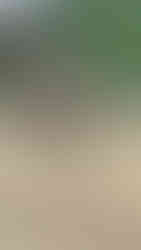 #AttachmentsExperts Sales Department I Mazio Attachments LLC headquarters: +1 561 766 0899 w: www.mazio.us e:sales@mazio.us a: Port St Lucie, FL 34952, USA Ventas I Mazio Colombia SAS Teléfonos: 318 458 9736 w: www.mazio.co e: colombia@mazio.it a: Carrera 20 #18-28 LC 17, Retiro, Antioquia. WhatsApp 3184589736 #pickupbroom #pickupsweeper #sslbroom #skidsteerbroom #ctlbroom #barredorabobcat #barredoraminicargador #barredoraretropala #barredoras #barredorarecolectora #bobcatbroom #catbroom Skid steer attachments Asphalt mini Paver Pick Up Broom Grinder Screening Concrete Grader Backhoe Snowblower rock breaker hydraulic backhoe pallet forks mulcher head auger steel tracks angled broom Dozer Grader Cold Planer cement mixer bucket excavator hydraulic rock breaker Hydraulic Hammer excavator VibroRipper Vibro Ripper Vibro-hammer excavator hardox bucket front loader hardox bucket long reach boom excavator front loader hydraulic quick coupler hitch piping forks Multifunctional Grabber Clamshell Bucket Rock Grapple Orange Peel Excavator Grapple Grabber Excavator Magnet. Somos Fabricantes de Martillos Hidraulicos, Barredoras, Baldes, Cucharones, Acoples, Horquillas Portapallet, Rápidos, Grapa Forestal, Demoledor, Cribadora, Trituradora, Rodillo Compactador, Brazo Excavador, Fresadora Asfalto, Pavimentadora, Cizalla, Pulpo para Chatarra, Demolicion, Excavación, Excavadora, Magneto, Garras, Brazos Largos, Desbrozador Forestal, Hoyador, Mezclador de Concreto, Niveladora, Vibromartillo, Vibroripper, Pulverizador, Baldes, Desmalezador, Horquillas Porta pallet y mas.