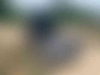 #AttachmentsExperts Sales Department I Mazio Attachments LLC headquarters: +1 561 766 0899 w: www.mazio.us e:sales@mazio.us a: Port St Lucie, FL 34952, USA Ventas I Mazio Colombia SAS Teléfonos: 318 458 9736 w: www.mazio.co e: colombia@mazio.it a: Carrera 20 #18-28 LC 17, Retiro, Antioquia. WhatsApp 3184589736 #pickupbroom #pickupsweeper #sslbroom #skidsteerbroom #ctlbroom #barredorabobcat #barredoraminicargador #barredoraretropala #barredoras #barredorarecolectora #bobcatbroom #catbroom Skid steer attachments Asphalt mini Paver Pick Up Broom Grinder Screening Concrete Grader Backhoe Snowblower rock breaker hydraulic backhoe pallet forks mulcher head auger steel tracks angled broom Dozer Grader Cold Planer cement mixer bucket excavator hydraulic rock breaker Hydraulic Hammer excavator VibroRipper Vibro Ripper Vibro-hammer excavator hardox bucket front loader hardox bucket long reach boom excavator front loader hydraulic quick coupler hitch piping forks Multifunctional Grabber Clamshell Bucket Rock Grapple Orange Peel Excavator Grapple Grabber Excavator Magnet. Somos Fabricantes de Martillos Hidraulicos, Barredoras, Baldes, Cucharones, Acoples, Horquillas Portapallet, Rápidos, Grapa Forestal, Demoledor, Cribadora, Trituradora, Rodillo Compactador, Brazo Excavador, Fresadora Asfalto, Pavimentadora, Cizalla, Pulpo para Chatarra, Demolicion, Excavación, Excavadora, Magneto, Garras, Brazos Largos, Desbrozador Forestal, Hoyador, Mezclador de Concreto, Niveladora, Vibromartillo, Vibroripper, Pulverizador, Baldes, Desmalezador, Horquillas Porta pallet y mas.