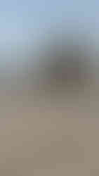 #AttachmentsExperts Sales Department I Mazio Attachments LLC headquarters: +1 561 766 0899 w: www.mazio.us e:sales@mazio.us a: Port St Lucie, FL 34952, USA Ventas I Mazio Colombia SAS Teléfonos: 318 458 9736 w: www.mazio.co e: colombia@mazio.it a: Carrera 20 #18-28 LC 17, Retiro, Antioquia. WhatsApp 3184589736 #pickupbroom #pickupsweeper #sslbroom #skidsteerbroom #ctlbroom #barredorabobcat #barredoraminicargador #barredoraretropala #barredoras #barredorarecolectora #bobcatbroom #catbroom Skid steer attachments Asphalt mini Paver Pick Up Broom Grinder Screening Concrete Grader Backhoe Snowblower rock breaker hydraulic backhoe pallet forks mulcher head auger steel tracks angled broom Dozer Grader Cold Planer cement mixer bucket excavator hydraulic rock breaker Hydraulic Hammer excavator VibroRipper Vibro Ripper Vibro-hammer excavator hardox bucket front loader hardox bucket long reach boom excavator front loader hydraulic quick coupler hitch piping forks Multifunctional Grabber Clamshell Bucket Rock Grapple Orange Peel Excavator Grapple Grabber Excavator Magnet. Somos Fabricantes de Martillos Hidraulicos, Barredoras, Baldes, Cucharones, Acoples, Horquillas Portapallet, Rápidos, Grapa Forestal, Demoledor, Cribadora, Trituradora, Rodillo Compactador, Brazo Excavador, Fresadora Asfalto, Pavimentadora, Cizalla, Pulpo para Chatarra, Demolicion, Excavación, Excavadora, Magneto, Garras, Brazos Largos, Desbrozador Forestal, Hoyador, Mezclador de Concreto, Niveladora, Vibromartillo, Vibroripper, Pulverizador, Baldes, Desmalezador, Horquillas Porta pallet y mas.