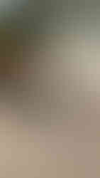 #AttachmentsExperts Sales Department I Mazio Attachments LLC headquarters: +1 561 766 0899 w: www.mazio.us e:sales@mazio.us a: Port St Lucie, FL 34952, USA Ventas I Mazio Colombia SAS Teléfonos: 318 458 9736 w: www.mazio.co e: colombia@mazio.it a: Carrera 20 #18-28 LC 17, Retiro, Antioquia. WhatsApp 3184589736 #pickupbroom #pickupsweeper #sslbroom #skidsteerbroom #ctlbroom #barredorabobcat #barredoraminicargador #barredoraretropala #barredoras #barredorarecolectora #bobcatbroom #catbroom Skid steer attachments Asphalt mini Paver Pick Up Broom Grinder Screening Concrete Grader Backhoe Snowblower rock breaker hydraulic backhoe pallet forks mulcher head auger steel tracks angled broom Dozer Grader Cold Planer cement mixer bucket excavator hydraulic rock breaker Hydraulic Hammer excavator VibroRipper Vibro Ripper Vibro-hammer excavator hardox bucket front loader hardox bucket long reach boom excavator front loader hydraulic quick coupler hitch piping forks Multifunctional Grabber Clamshell Bucket Rock Grapple Orange Peel Excavator Grapple Grabber Excavator Magnet. Somos Fabricantes de Martillos Hidraulicos, Barredoras, Baldes, Cucharones, Acoples, Horquillas Portapallet, Rápidos, Grapa Forestal, Demoledor, Cribadora, Trituradora, Rodillo Compactador, Brazo Excavador, Fresadora Asfalto, Pavimentadora, Cizalla, Pulpo para Chatarra, Demolicion, Excavación, Excavadora, Magneto, Garras, Brazos Largos, Desbrozador Forestal, Hoyador, Mezclador de Concreto, Niveladora, Vibromartillo, Vibroripper, Pulverizador, Baldes, Desmalezador, Horquillas Porta pallet y mas.