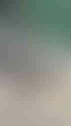 #AttachmentsExperts Sales Department I Mazio Attachments LLC headquarters: +1 561 766 0899 w: www.mazio.us e:sales@mazio.us a: Port St Lucie, FL 34952, USA Ventas I Mazio Colombia SAS Teléfonos: 318 458 9736 w: www.mazio.co e: colombia@mazio.it a: Carrera 20 #18-28 LC 17, Retiro, Antioquia. WhatsApp 3184589736 #pickupbroom #pickupsweeper #sslbroom #skidsteerbroom #ctlbroom #barredorabobcat #barredoraminicargador #barredoraretropala #barredoras #barredorarecolectora #bobcatbroom #catbroom Skid steer attachments Asphalt mini Paver Pick Up Broom Grinder Screening Concrete Grader Backhoe Snowblower rock breaker hydraulic backhoe pallet forks mulcher head auger steel tracks angled broom Dozer Grader Cold Planer cement mixer bucket excavator hydraulic rock breaker Hydraulic Hammer excavator VibroRipper Vibro Ripper Vibro-hammer excavator hardox bucket front loader hardox bucket long reach boom excavator front loader hydraulic quick coupler hitch piping forks Multifunctional Grabber Clamshell Bucket Rock Grapple Orange Peel Excavator Grapple Grabber Excavator Magnet. Somos Fabricantes de Martillos Hidraulicos, Barredoras, Baldes, Cucharones, Acoples, Horquillas Portapallet, Rápidos, Grapa Forestal, Demoledor, Cribadora, Trituradora, Rodillo Compactador, Brazo Excavador, Fresadora Asfalto, Pavimentadora, Cizalla, Pulpo para Chatarra, Demolicion, Excavación, Excavadora, Magneto, Garras, Brazos Largos, Desbrozador Forestal, Hoyador, Mezclador de Concreto, Niveladora, Vibromartillo, Vibroripper, Pulverizador, Baldes, Desmalezador, Horquillas Porta pallet y mas.