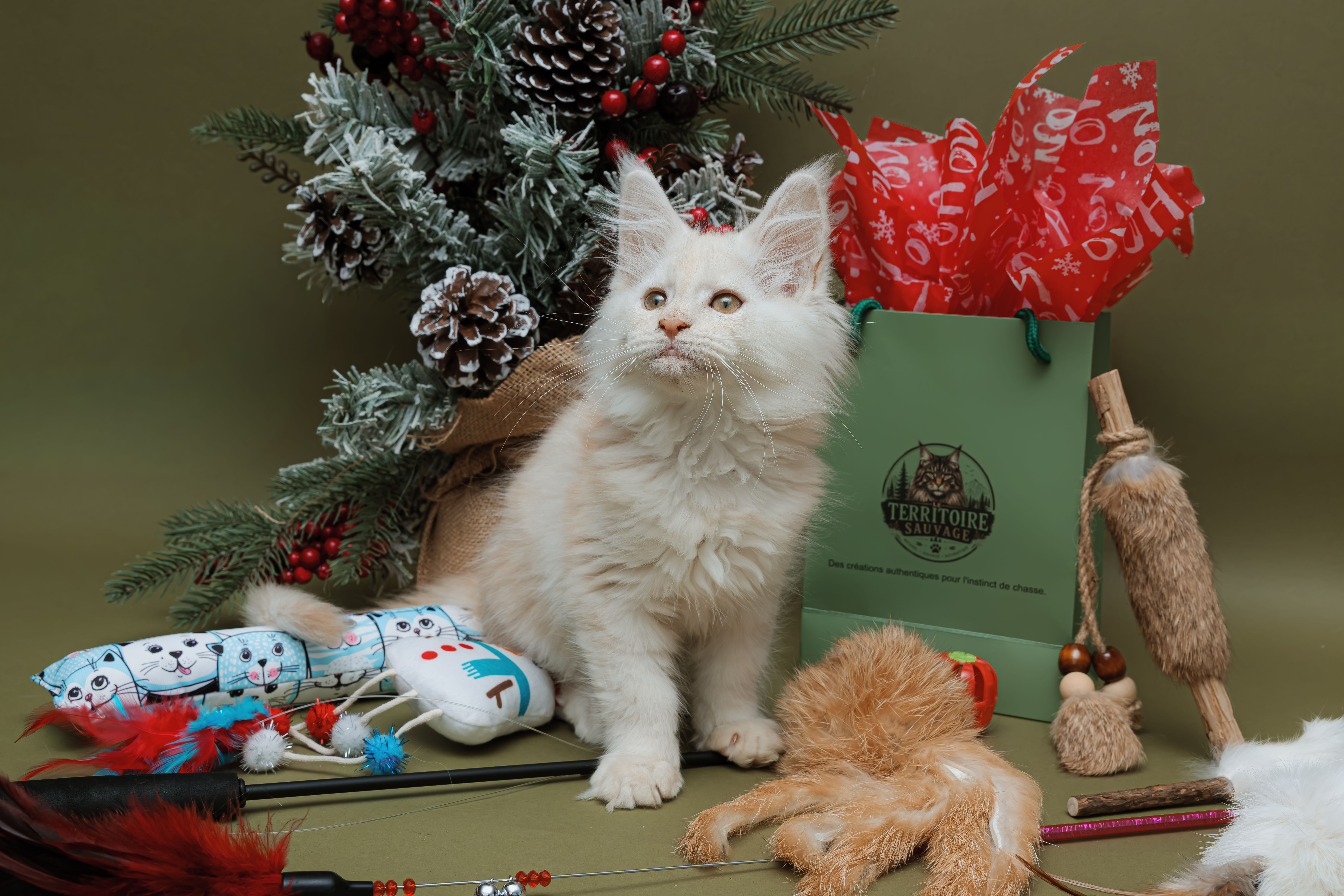 Coffret de Noël - Le Territoire Sauvage