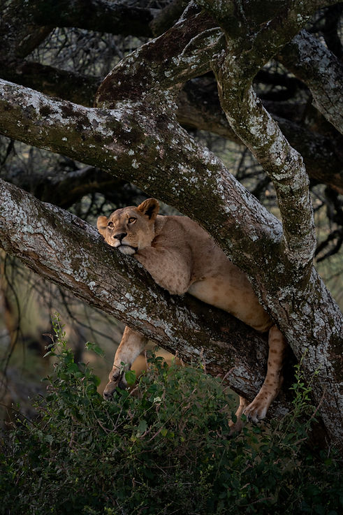 © Késia Voyage Bohème