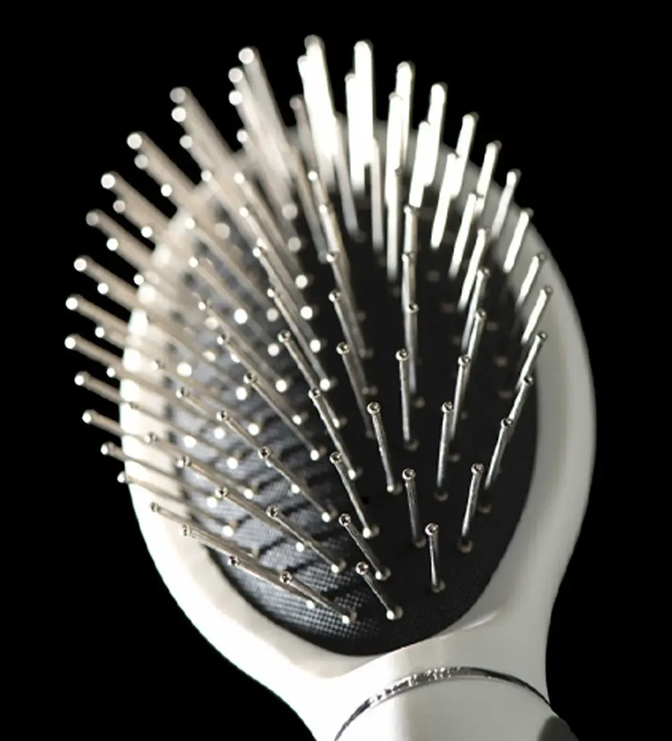 Miniature : Trousse de Toilettage (Catit)