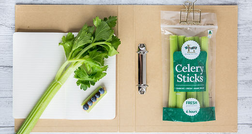 hengelhardt_celery-la-mattina_study_02.J