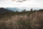 Services mountainous background