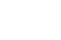 SCRIPT DEVELOPMENT - Polish Film Institute - 2025.png