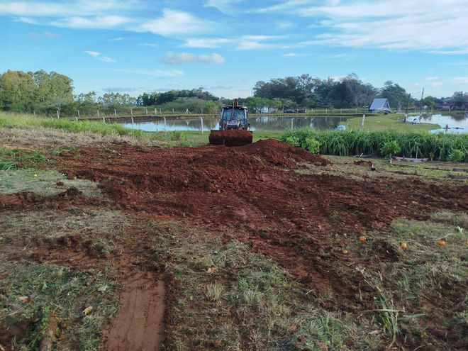 Palmitinho registra primeiro caso de greening em plantas de citros do RS