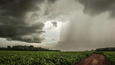 MPRS divulga nota técnica sobre evolução e impactos do fenômeno El Niño no RS