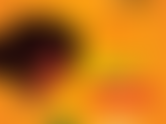 Uplift Juneteenth with Sauces Bringing People Together