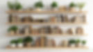 AdobeStock_996497288.jpeg