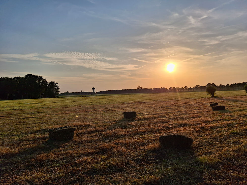 NIEUWSUPDATE Juli 2026