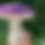 Thumbnail: MAGIC MUSHROOM