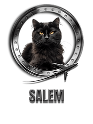 salem.png